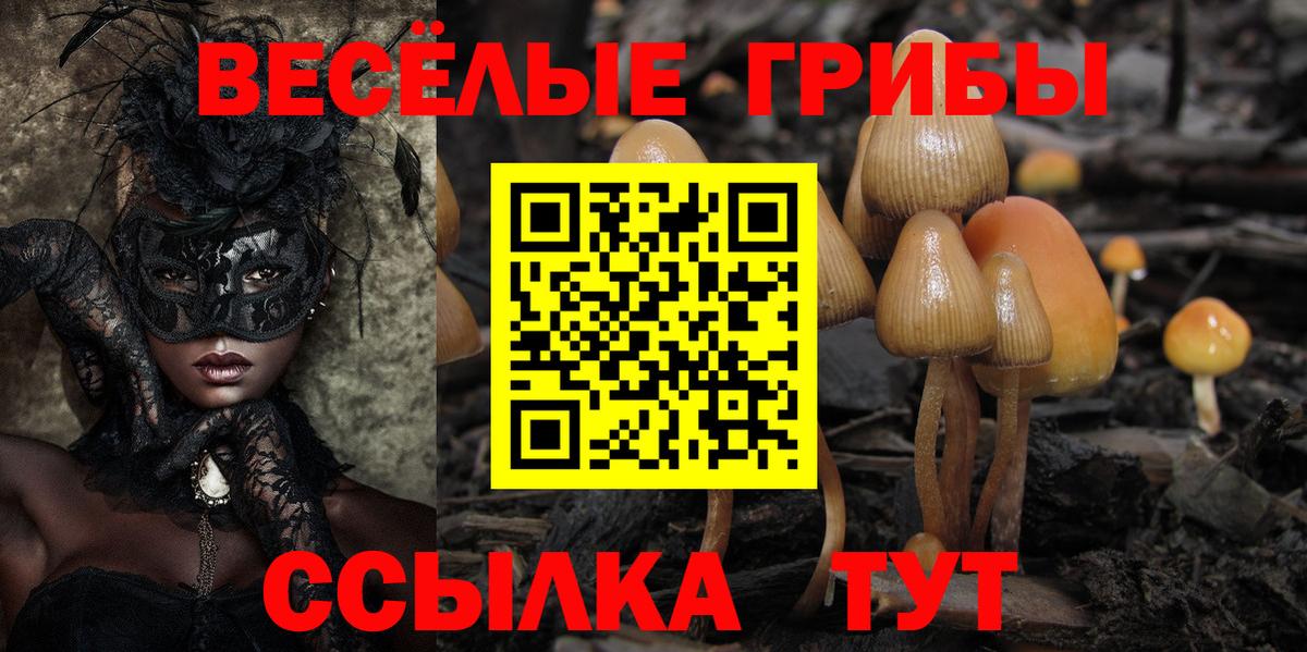Псилоцибиновые грибы Psilocybe Семёнов