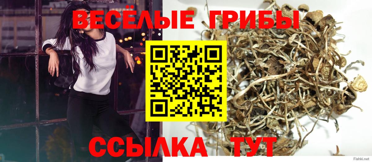 Семёнов  Псилоцибиновые грибы Psilocybine cubensis  Вход с VPN 