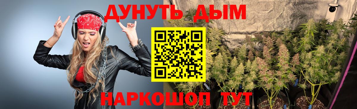Каннабис семена  Шишки марихуана сатива  Семёнов  Вход с VPN  Бошки марихуана тримм 